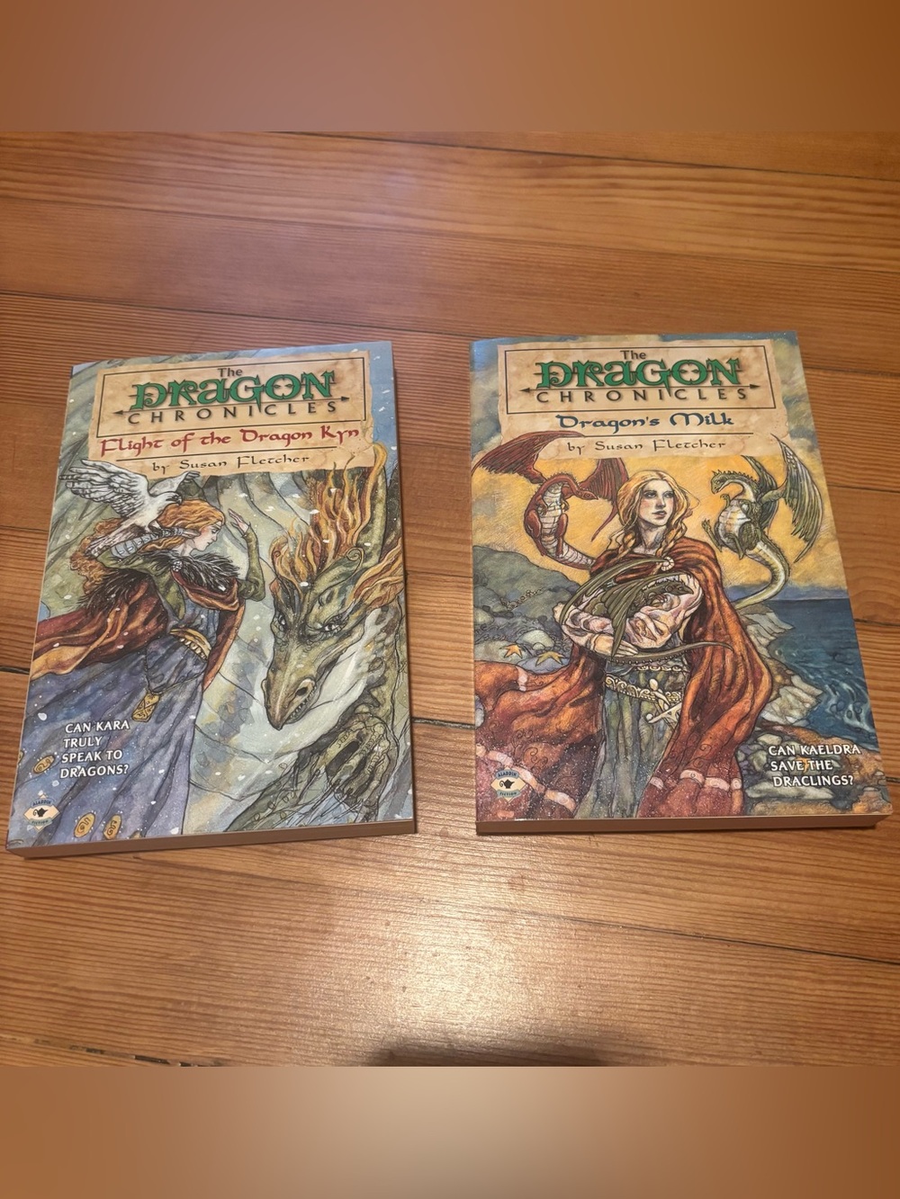 Lot of 2 The Dragon Chronicles Books by Susan Fletcher